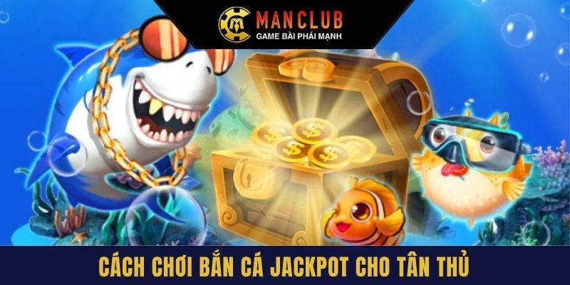 Hội viên cần nắm vững một số kinh nghiệm khi bắt đầu ván chơi tại Manclub