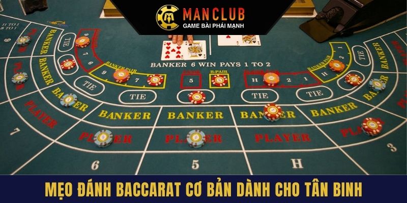 Mẹo đánh Baccarat cơ bản dành cho tân binh